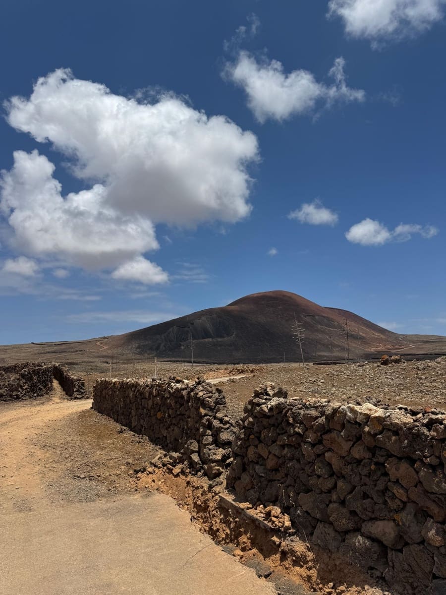 Undeveloped Land for sale in Lajares - € 485,000 (Ref: 9953795)