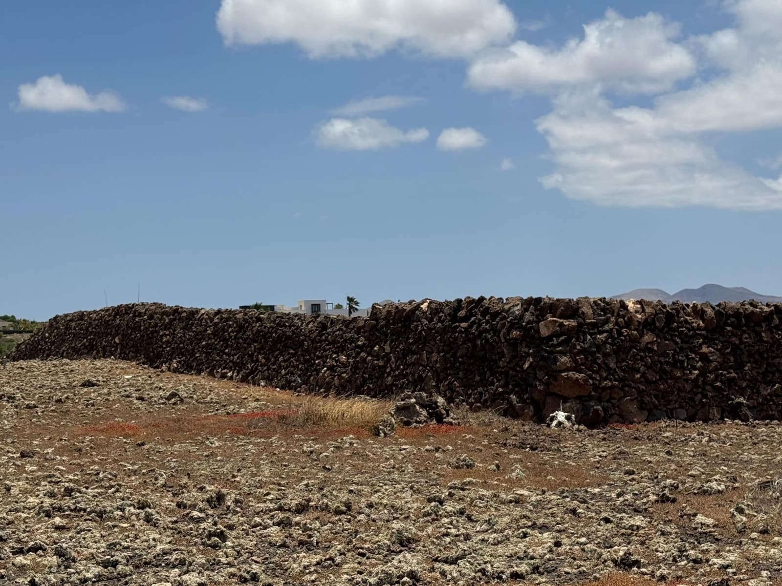 Undeveloped Land for sale in Lajares - € 485,000 (Ref: 9953795)