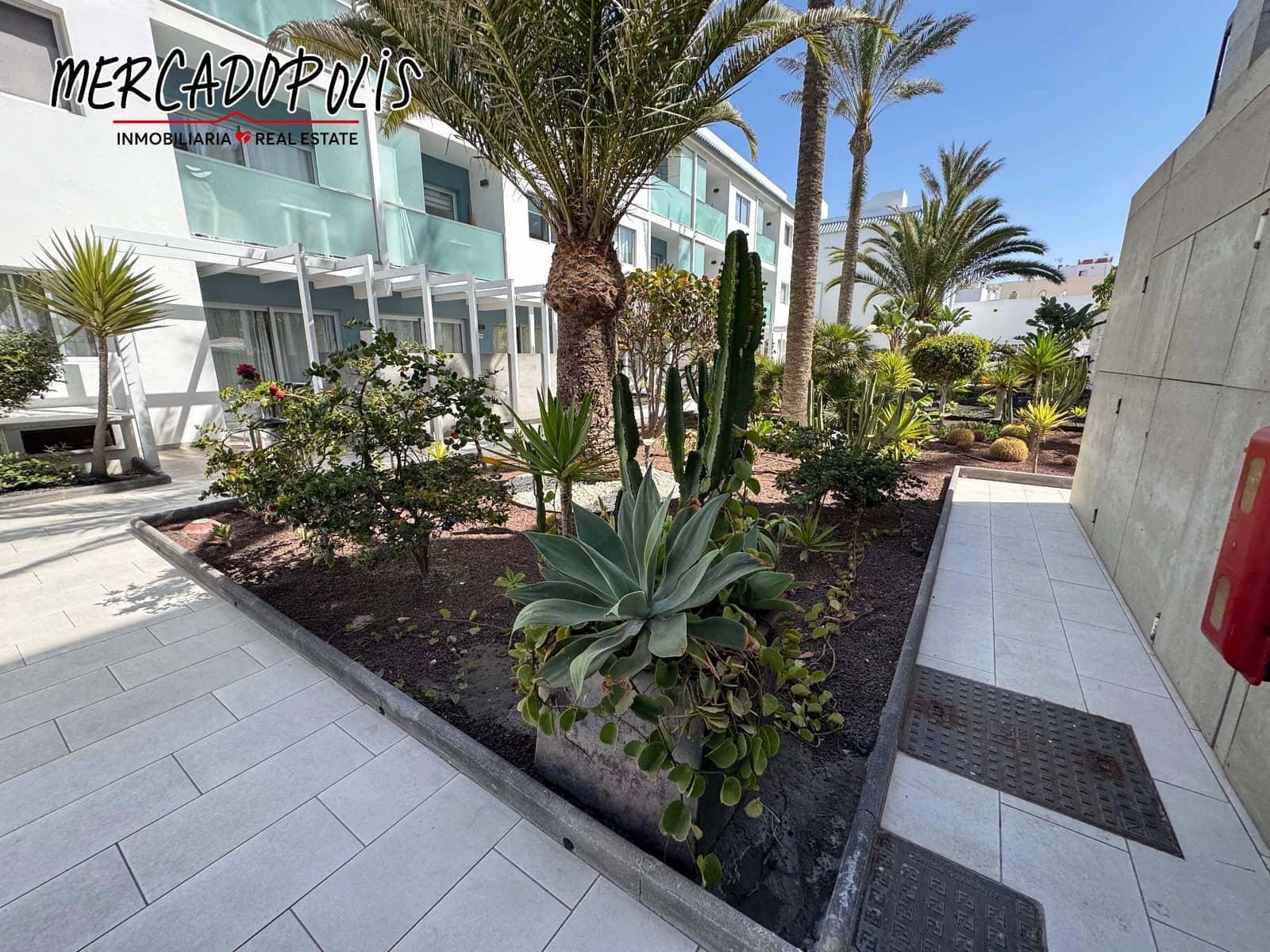 1 soveværelse Lejlighed til leje i Corralejo med swimmingpool - € 1.550 (Ref: 8901786)