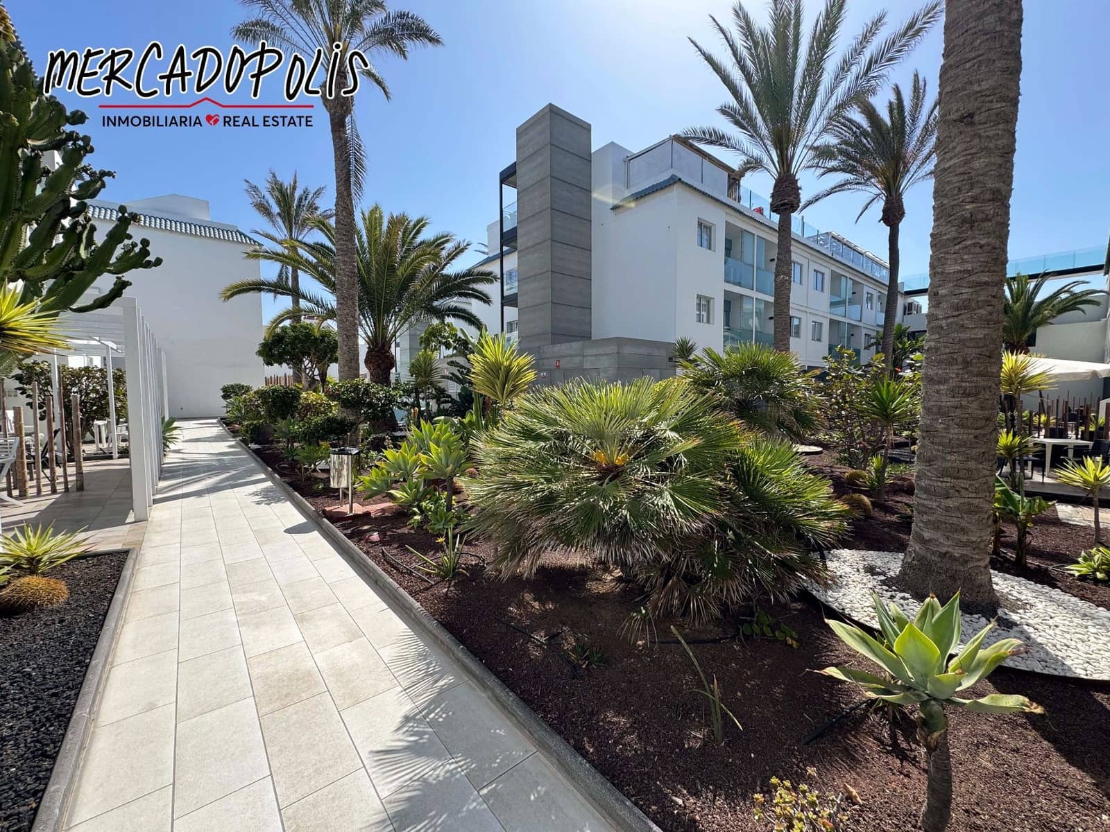 1 soveværelse Lejlighed til leje i Corralejo med swimmingpool - € 1.550 (Ref: 8901786)