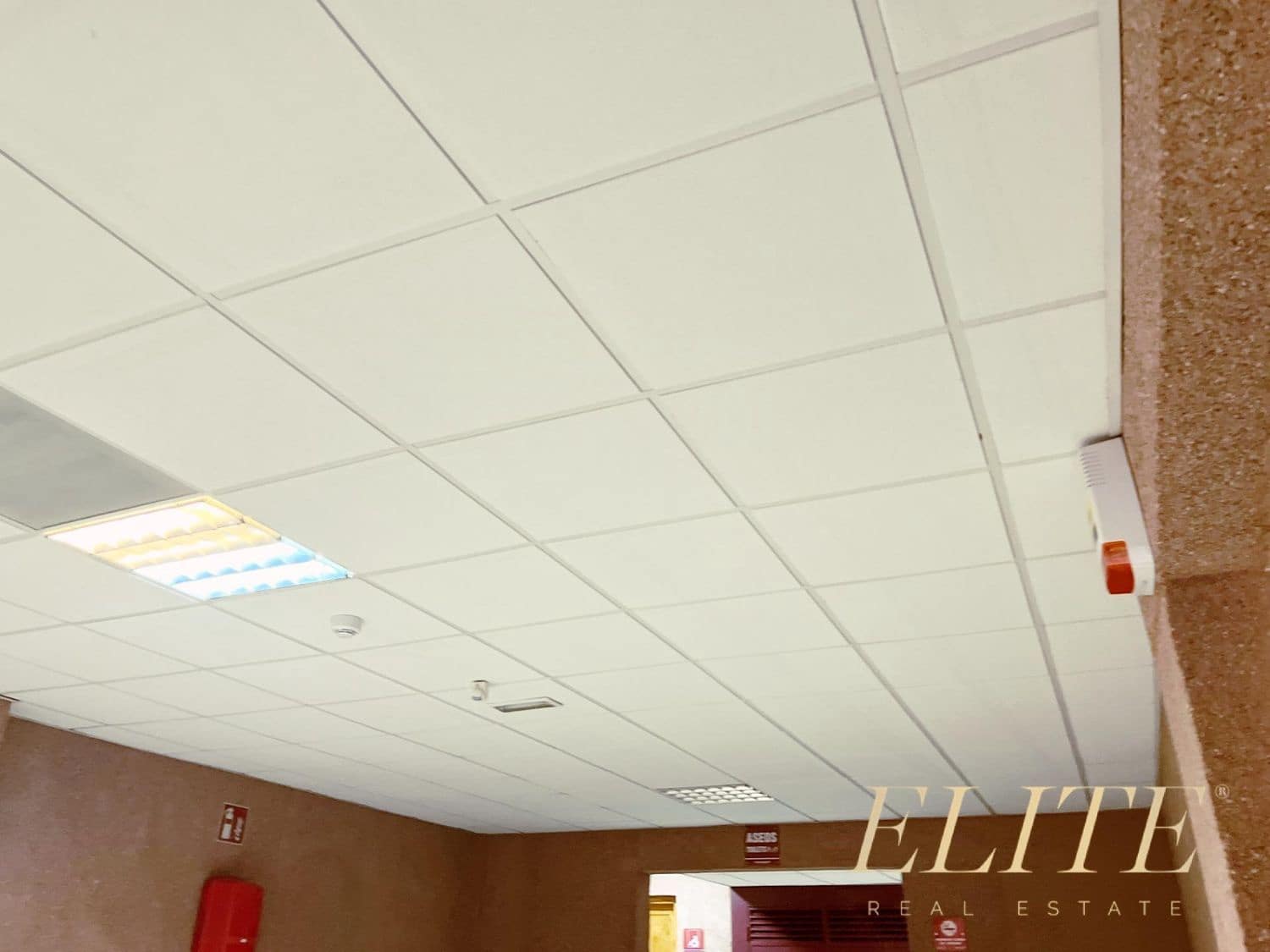 Commercial for rent in Sonneland - € 1,900 (Ref: 9586836)