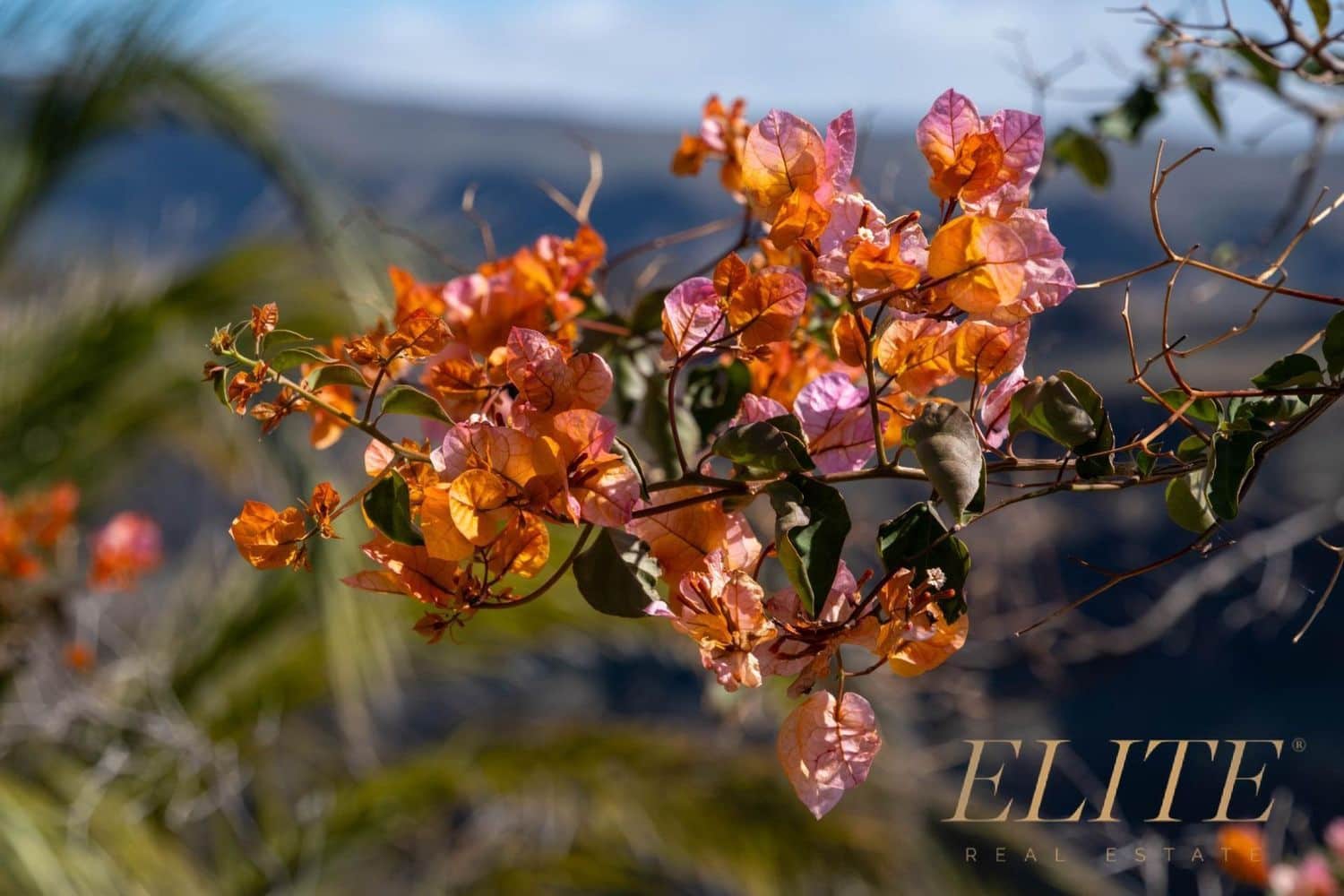 Undeveloped Land for sale in San Bartolome de Tirajana - € 1,795,000 (Ref: 9586859)