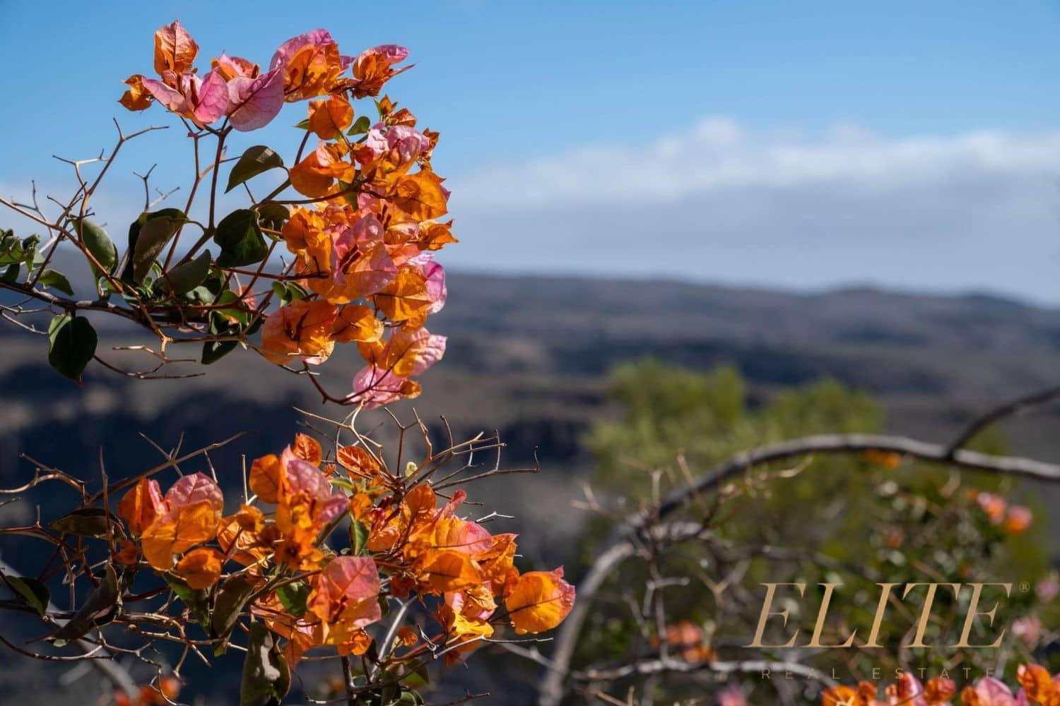 Undeveloped Land for sale in San Bartolome de Tirajana - € 1,795,000 (Ref: 9586859)