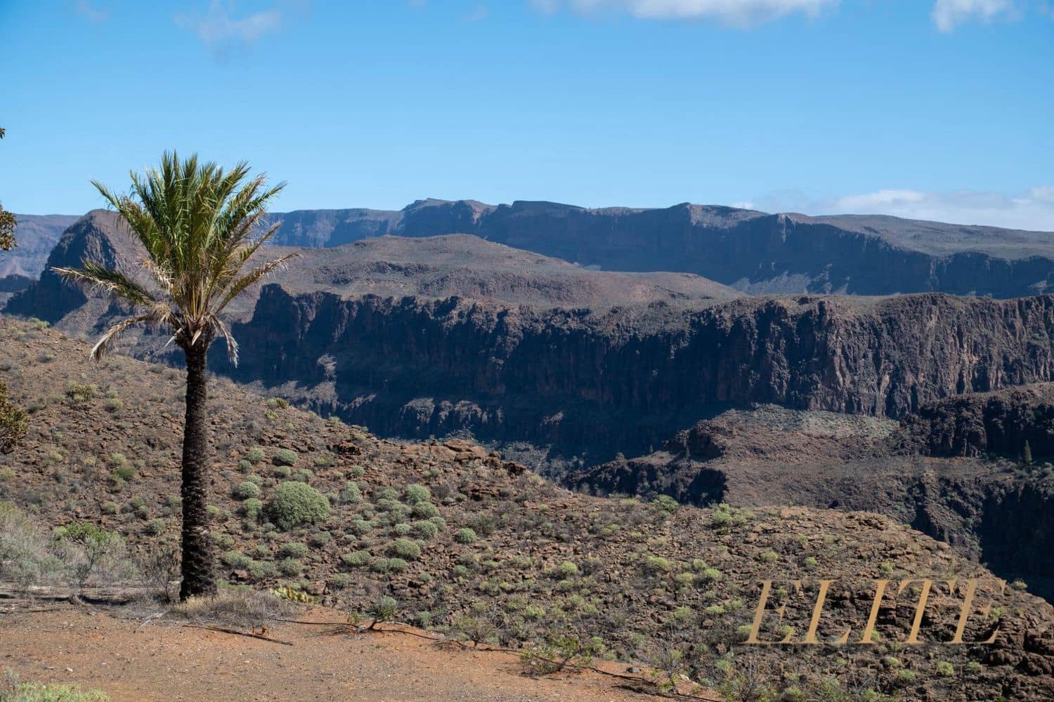 Undeveloped Land for sale in San Bartolome de Tirajana - € 1,795,000 (Ref: 9586859)