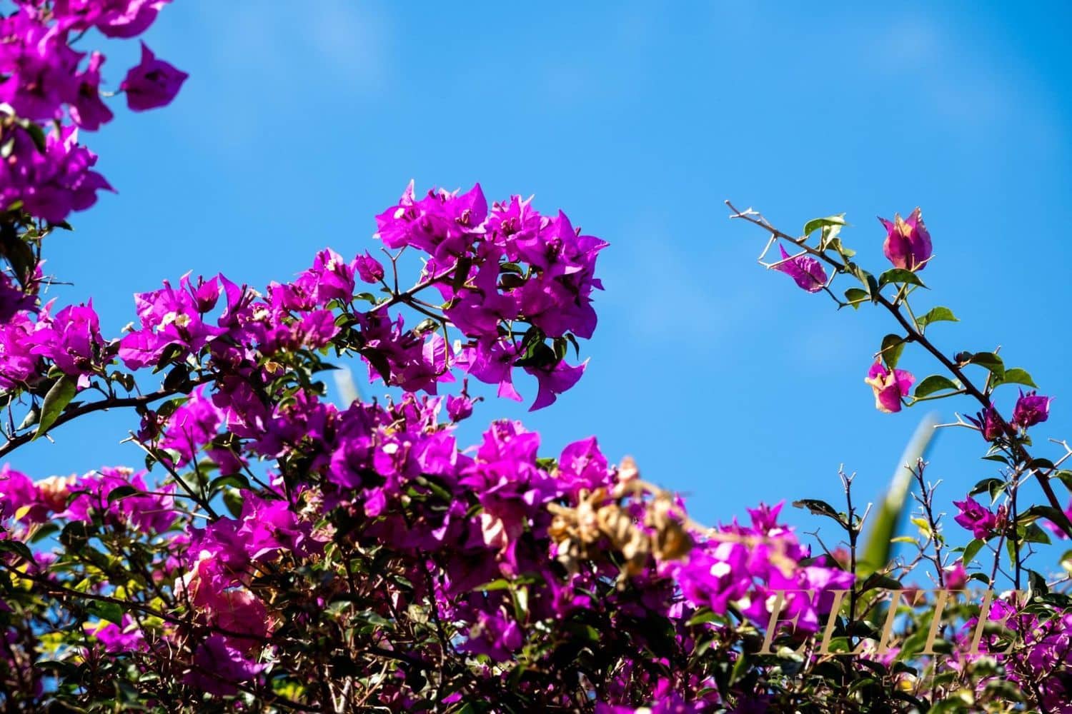 Undeveloped Land for sale in San Bartolome de Tirajana - € 1,795,000 (Ref: 9586859)