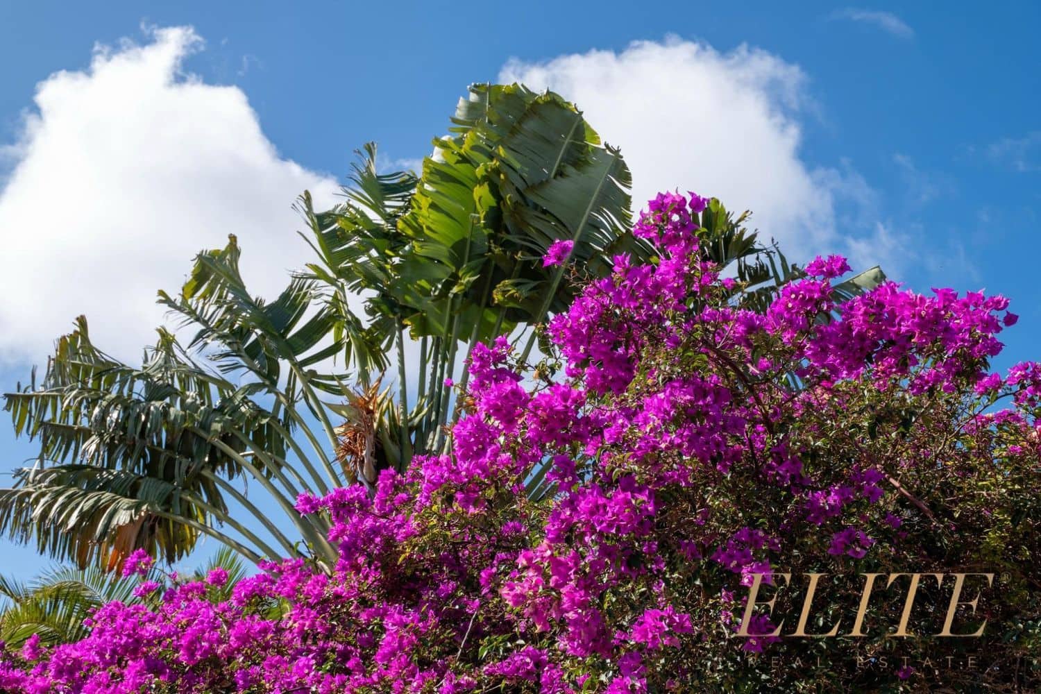 Undeveloped Land for sale in San Bartolome de Tirajana - € 1,795,000 (Ref: 9586859)