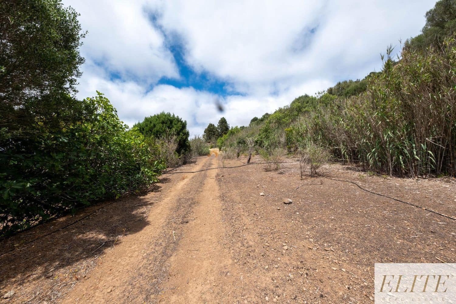 Rakentamaton maa myytävänä paikassa San Lorenzo - 520 000 € (Ref: 9586868)