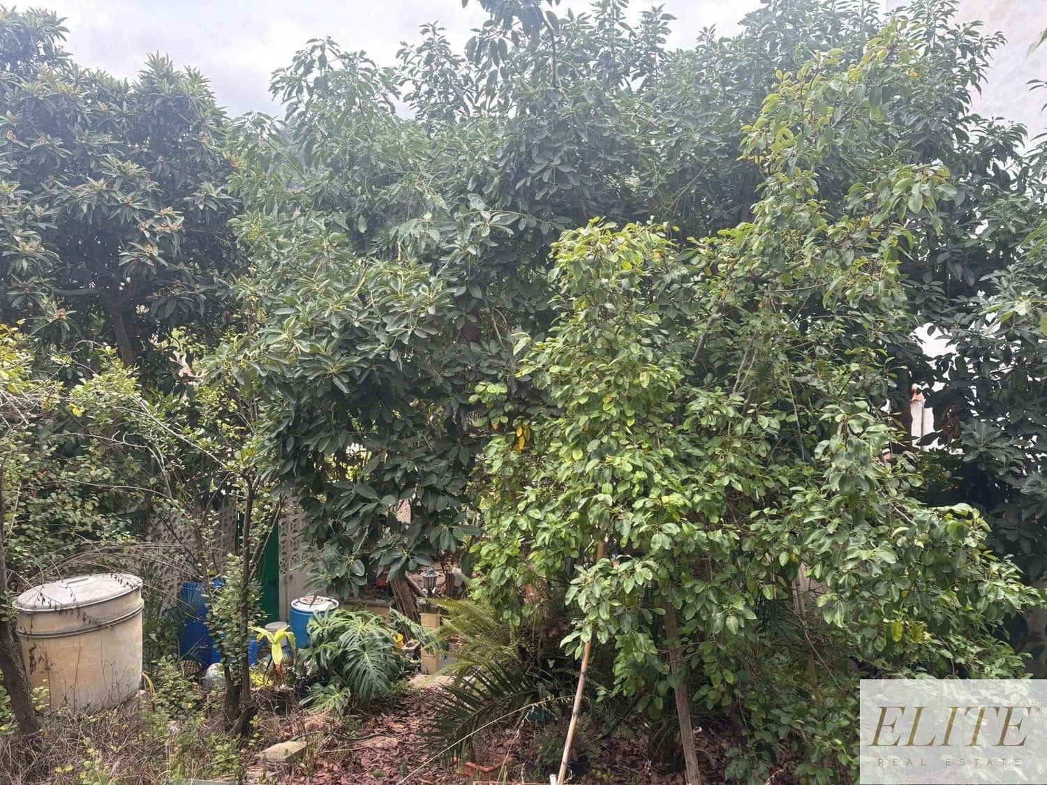 Rakentamaton maa myytävänä paikassa Teror - 147 000 € (Ref: 9586879)