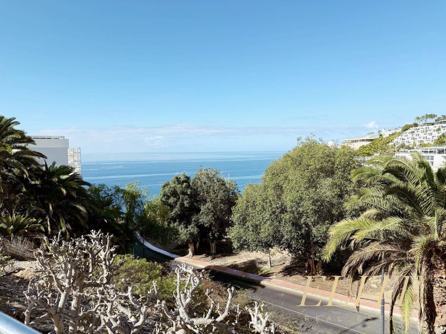 Local Commercial à vendre à Puerto Rico - 250 000 € (Ref: 9600882)