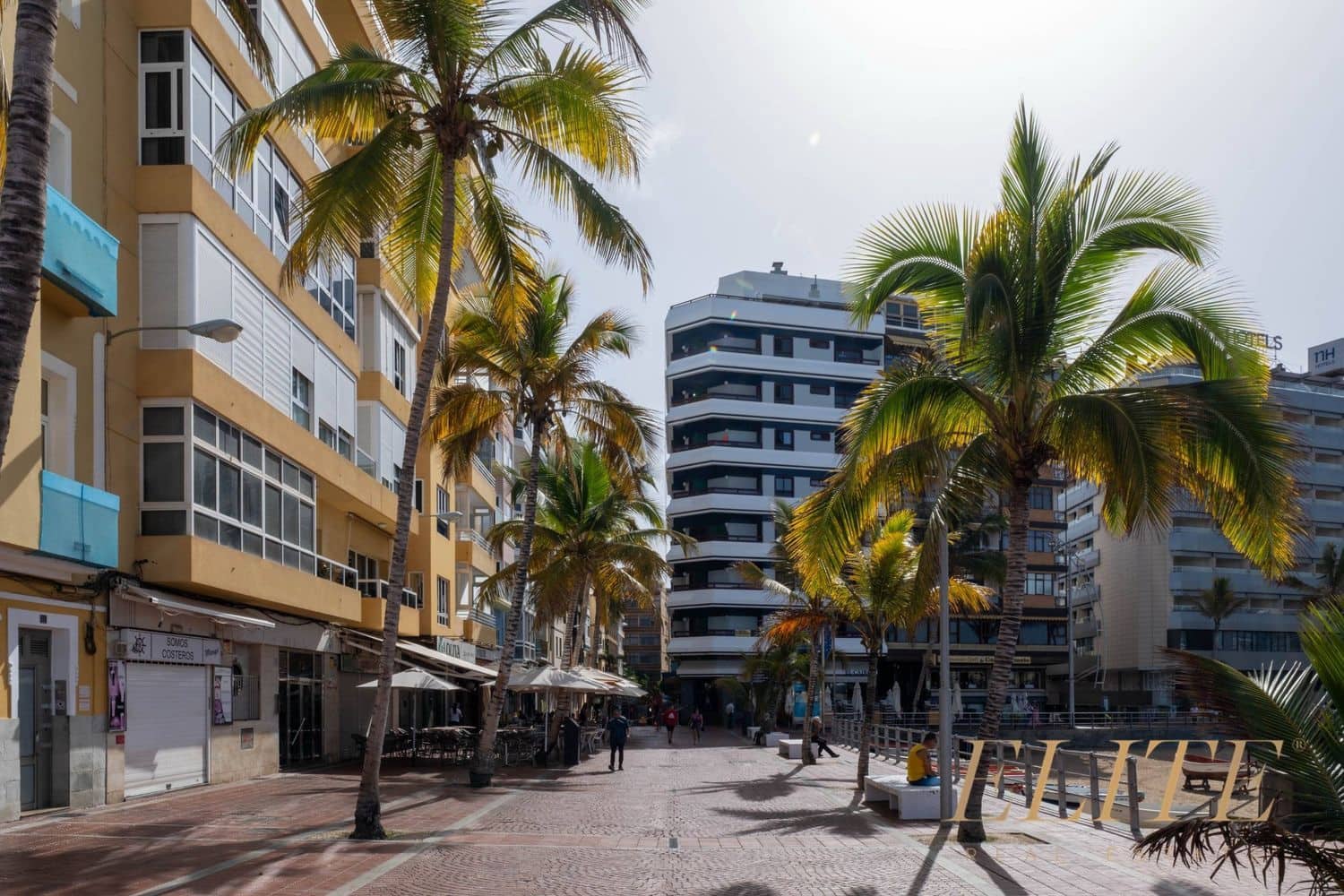 1 soveværelse Lejlighed til leje i Las Palmas de Gran Canaria med garage - € 3.300 (Ref: 9665714)