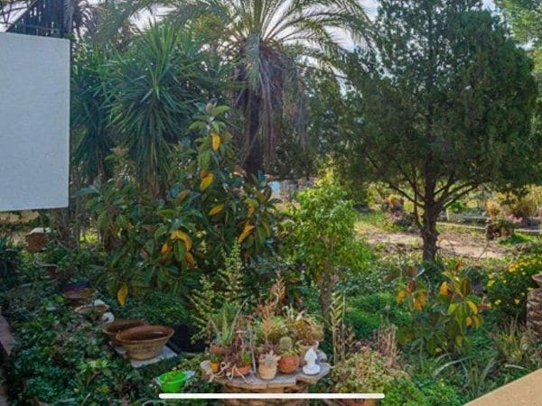 5 chambre Villa/Maison à vendre à Gilet avec piscine - 620 000 € (Ref: 8534540)