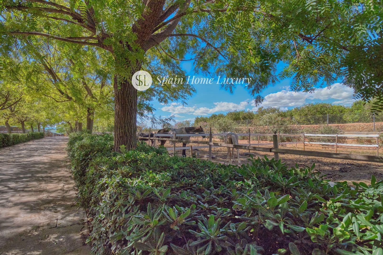 4 soverom Villa til salgs i Betera med svømmebasseng garasje - € 2 250 000 (Ref: 8534562)