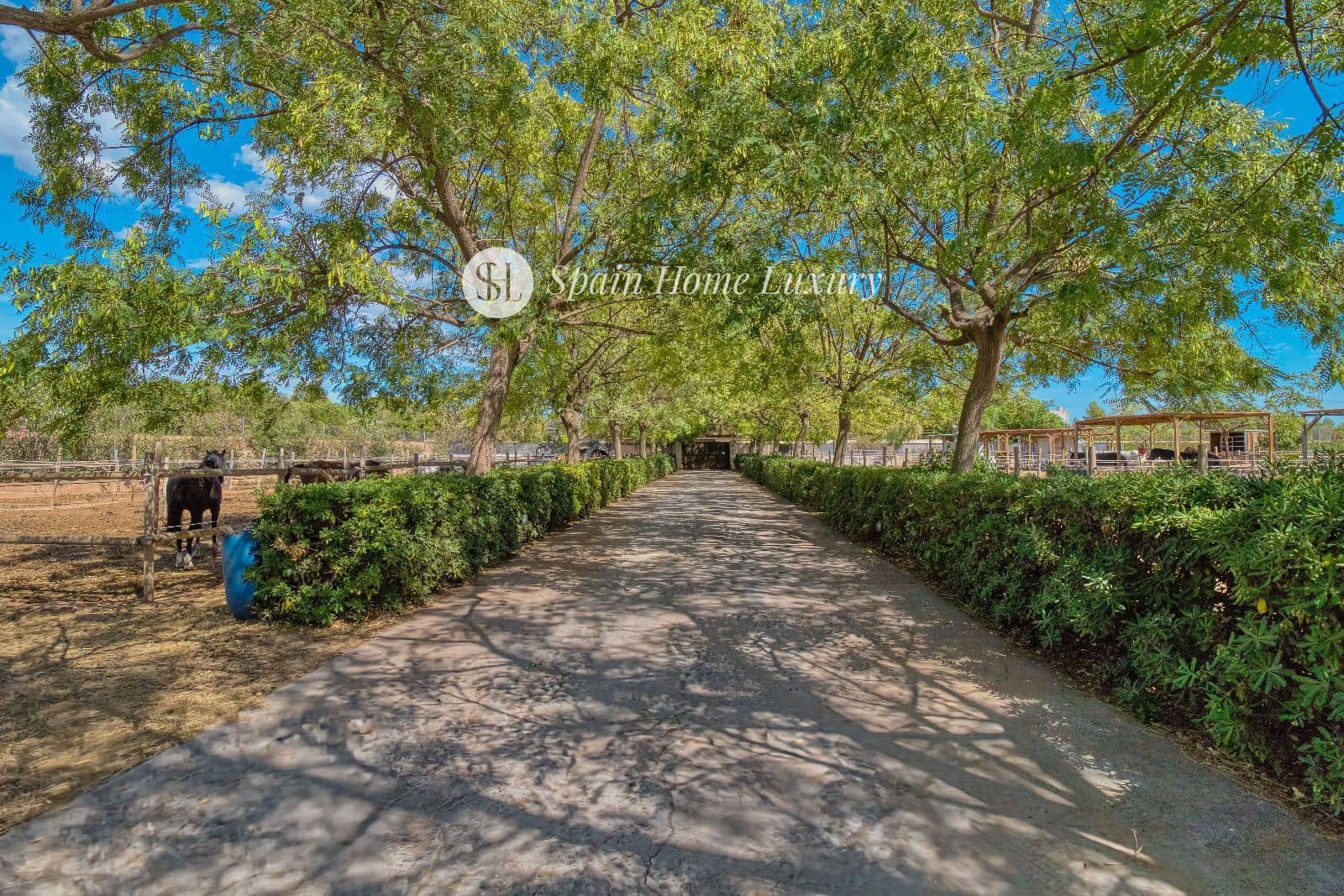 4 soverom Villa til salgs i Betera med svømmebasseng garasje - € 2 250 000 (Ref: 8534562)