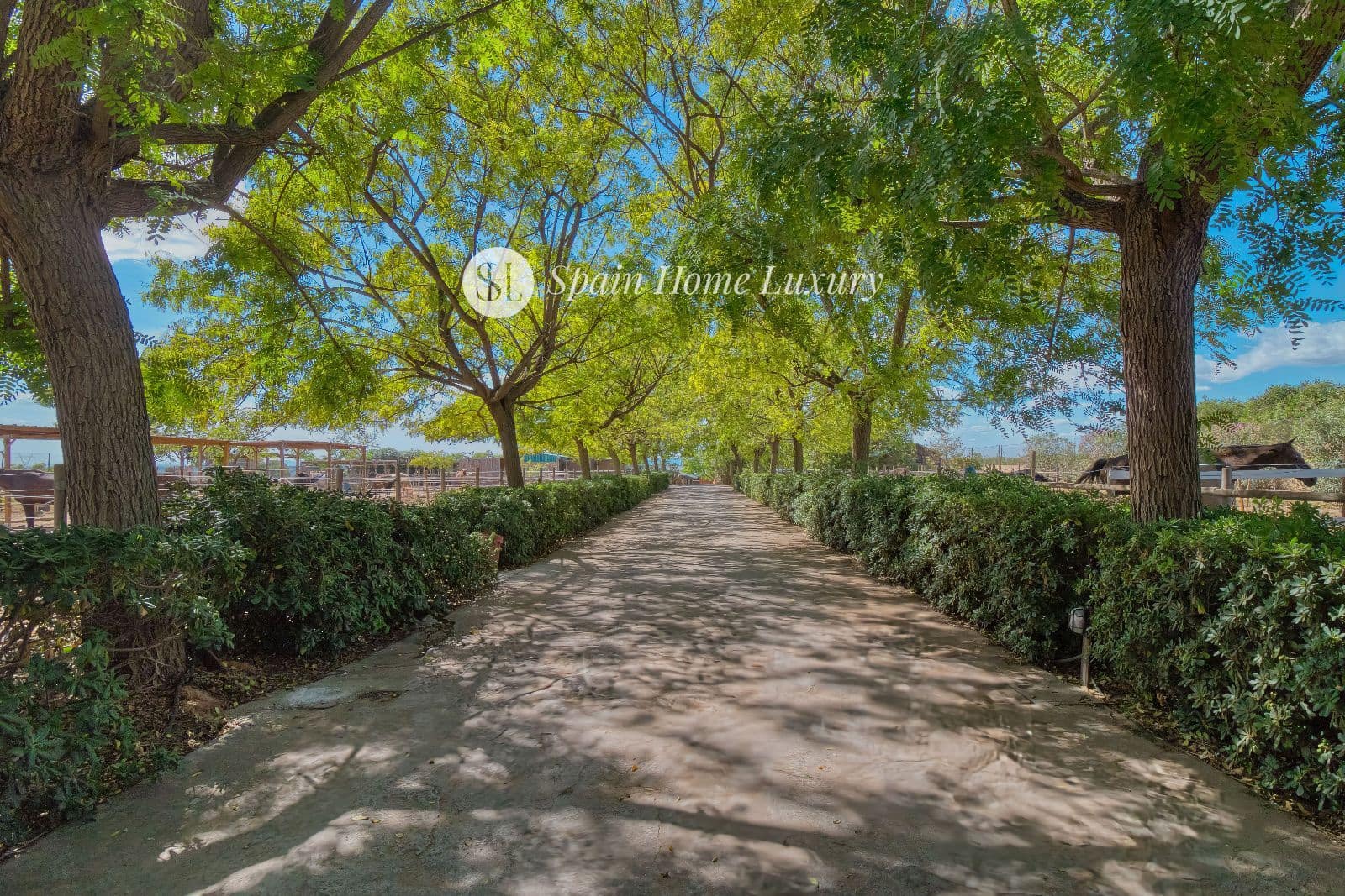 4 soverom Villa til salgs i Betera med svømmebasseng garasje - € 2 250 000 (Ref: 8534562)