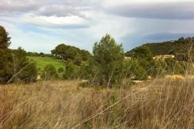 Bouwgrond te koop in Chiva - € 430.000 (Ref: 8534573)