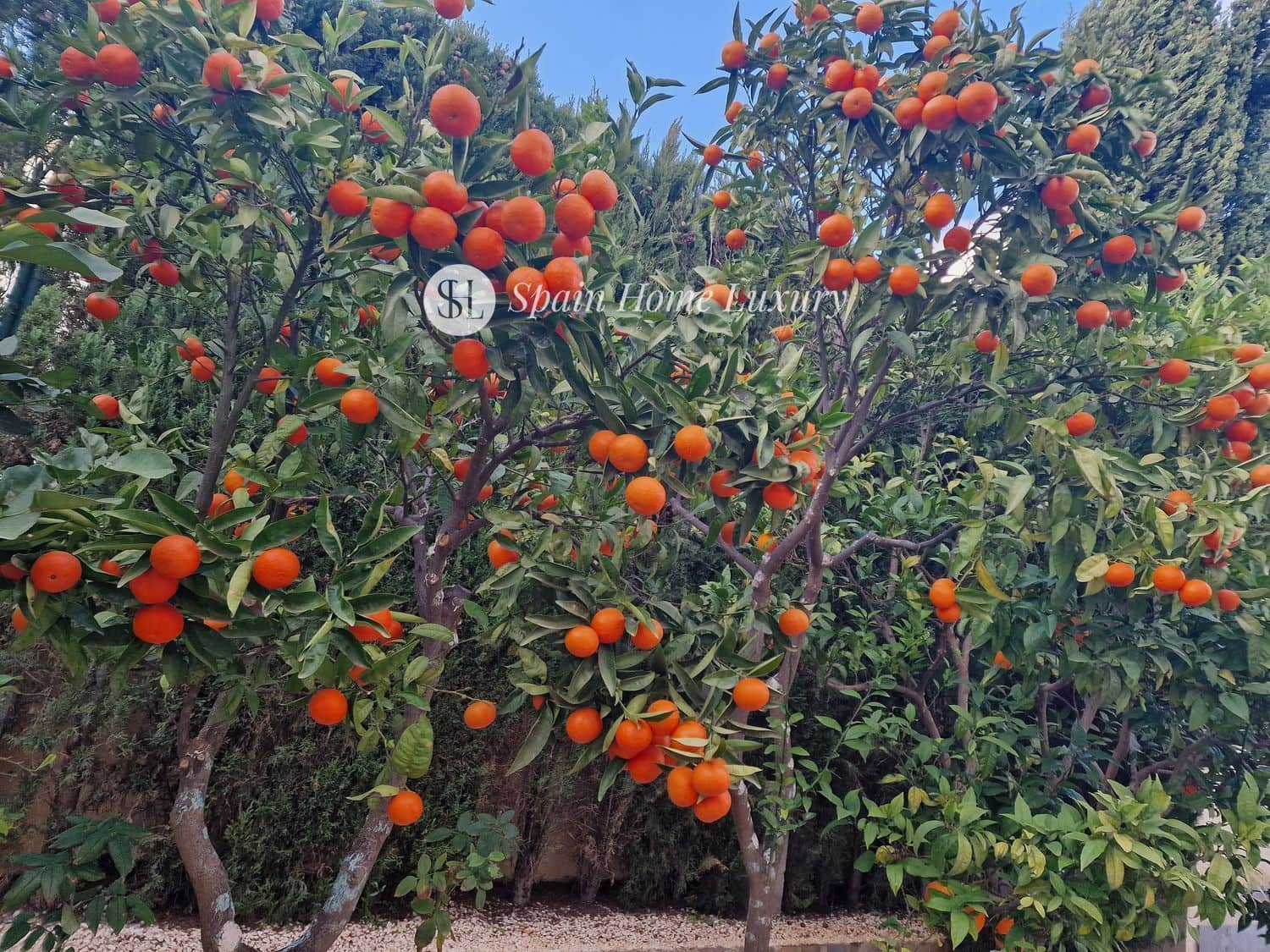 5 soverom Villa til salgs i Cumbre del Sol med svømmebasseng garasje - € 710 000 (Ref: 8705366)