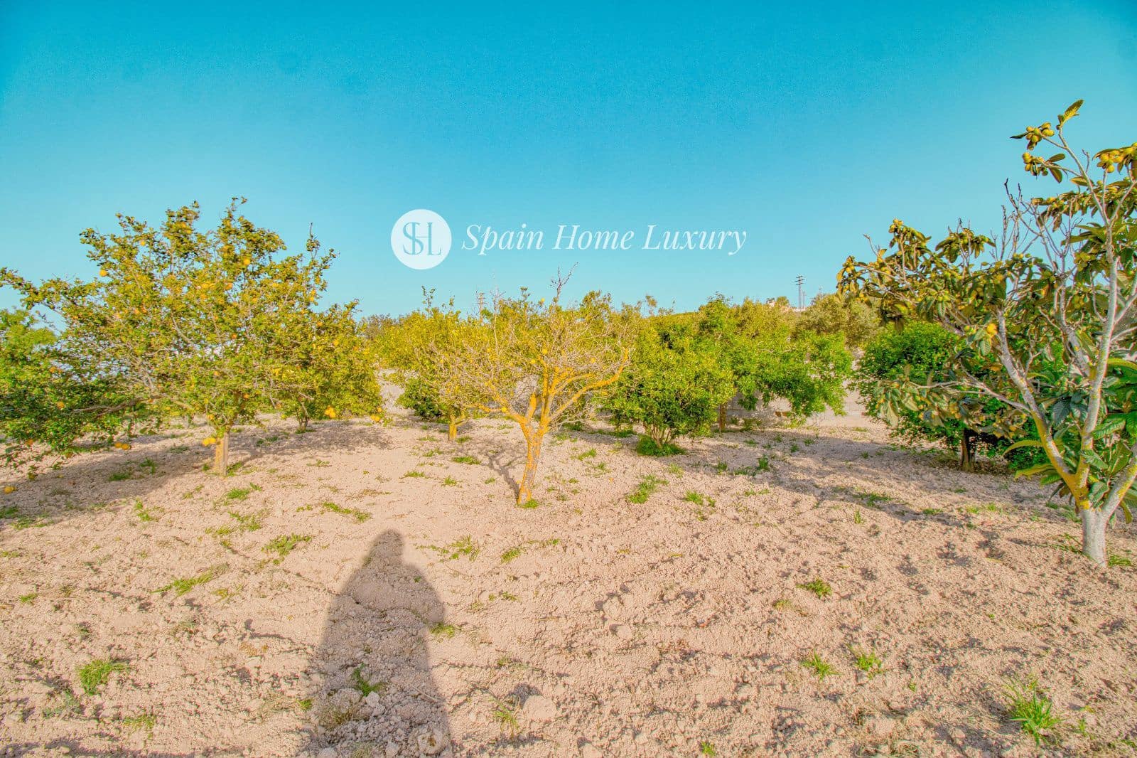 3 quarto Moradia para venda em Teulada com piscina garagem - 530 000 € (Ref: 8905077)