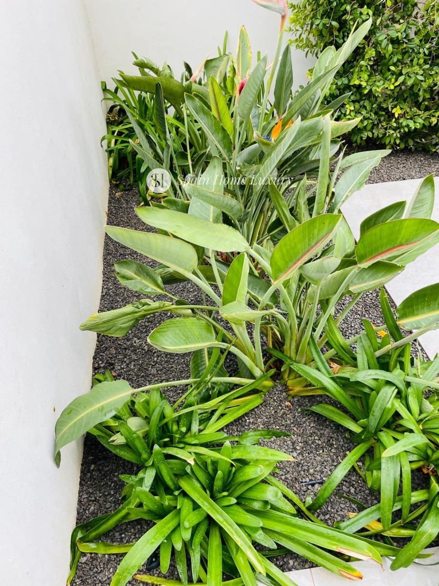 Chalet de 5 habitaciones en Benissa en venta con piscina garaje - 950.000 € (Ref: 9009407)