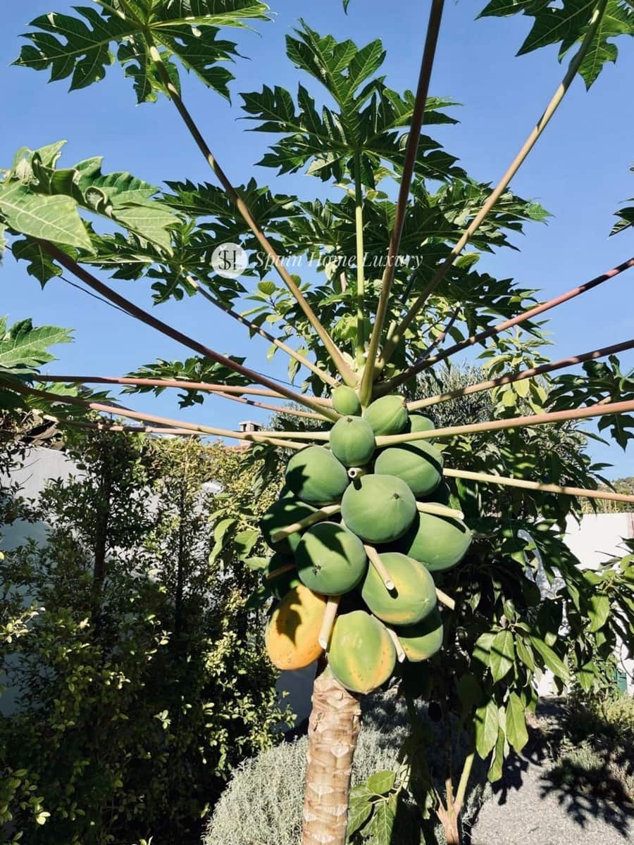 Chalet de 5 habitaciones en Benissa en venta con piscina garaje - 950.000 € (Ref: 9009407)