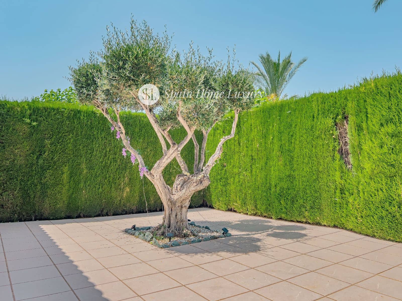 5 soverom Villa til salgs i Betera med svømmebasseng garasje - € 559 000 (Ref: 9047084)