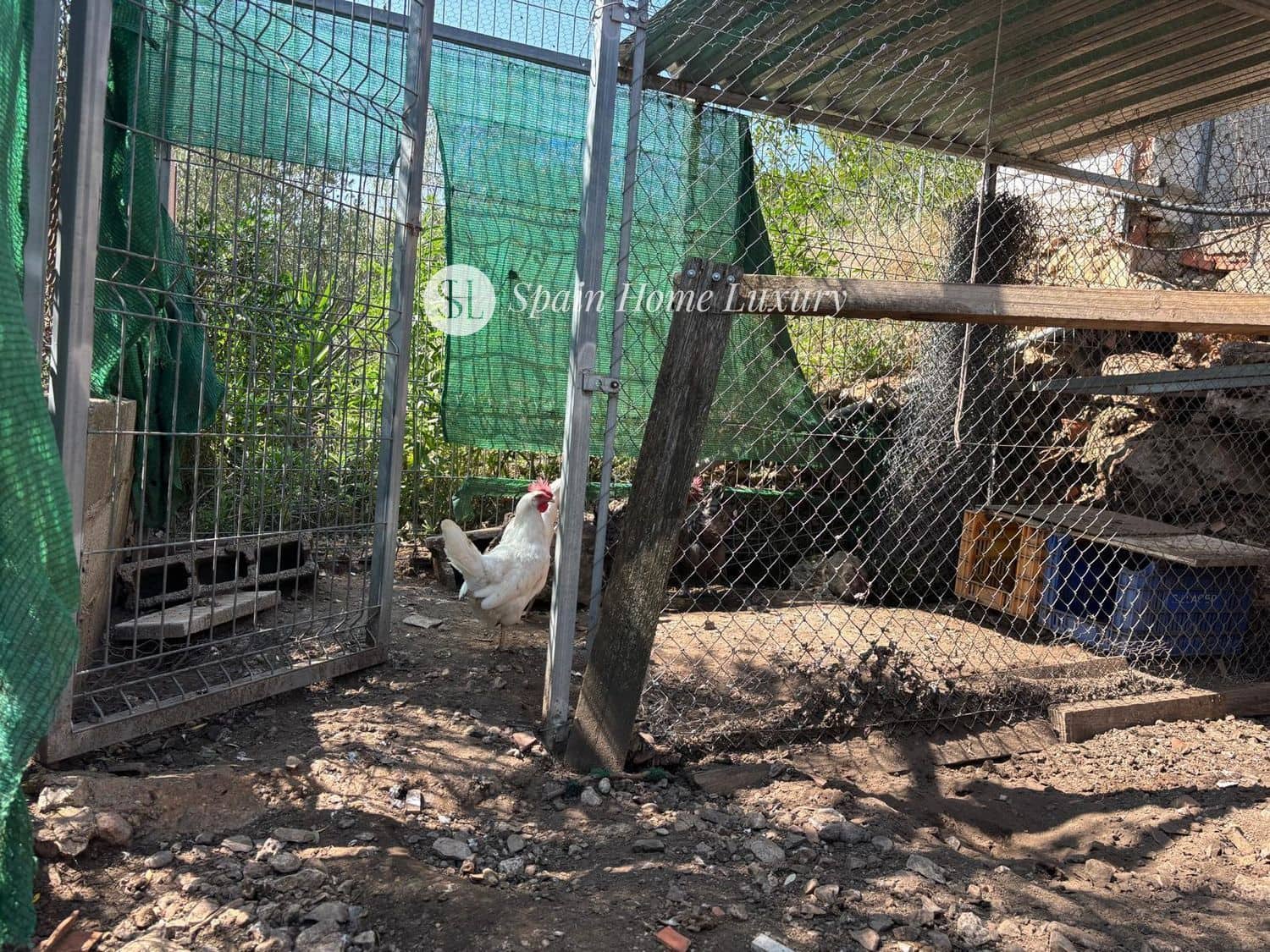 5 chambre Villa/Maison à vendre à Alberic avec piscine garage - 320 000 € (Ref: 9219383)