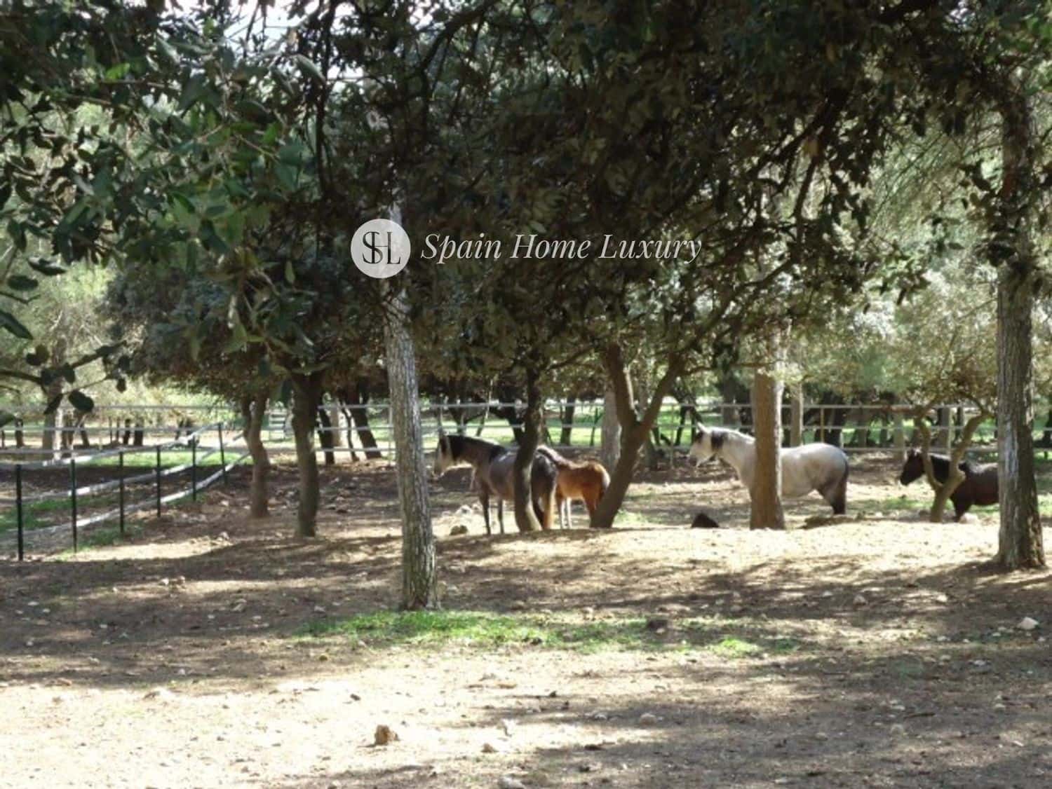 6 chambre Villa/Maison à vendre à Bocairent - 659 000 € (Ref: 9306836)