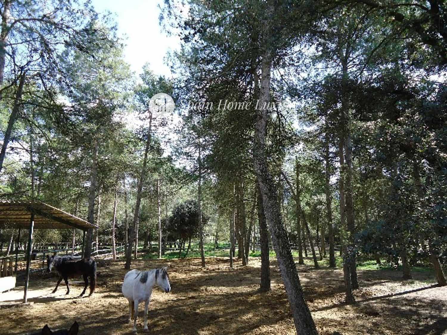 6 chambre Villa/Maison à vendre à Bocairent - 659 000 € (Ref: 9306836)