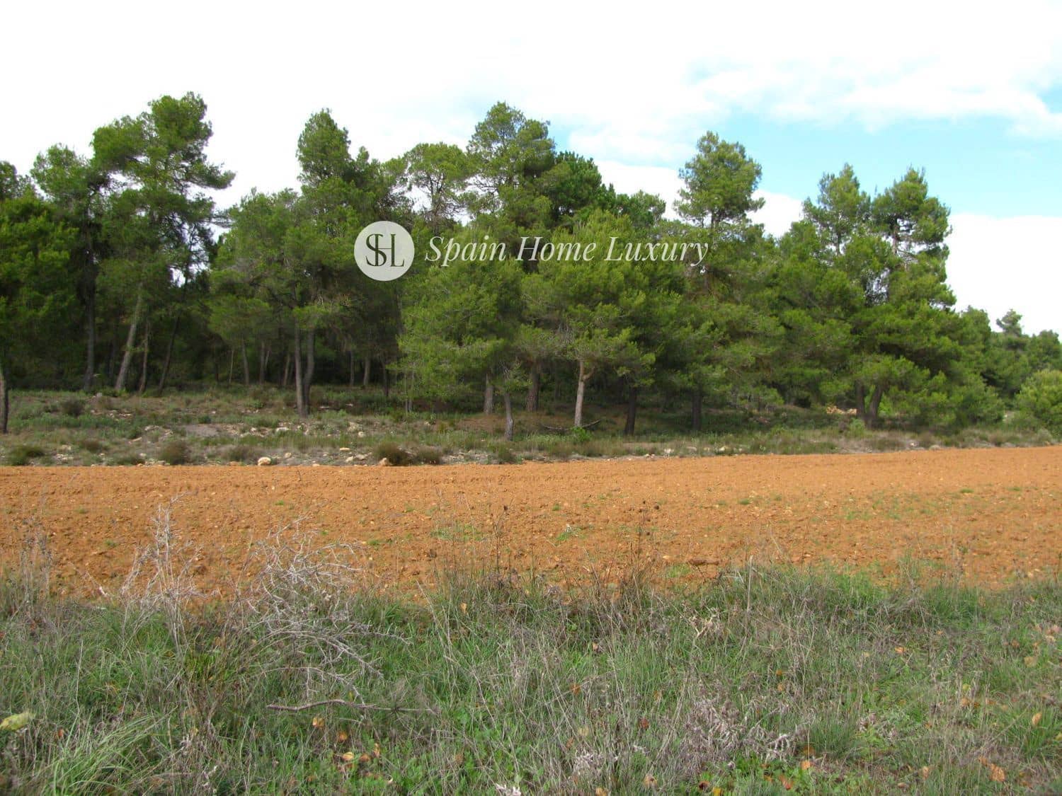 12 chambre Villa/Maison à vendre à Bocairent - 700 000 € (Ref: 9325758)