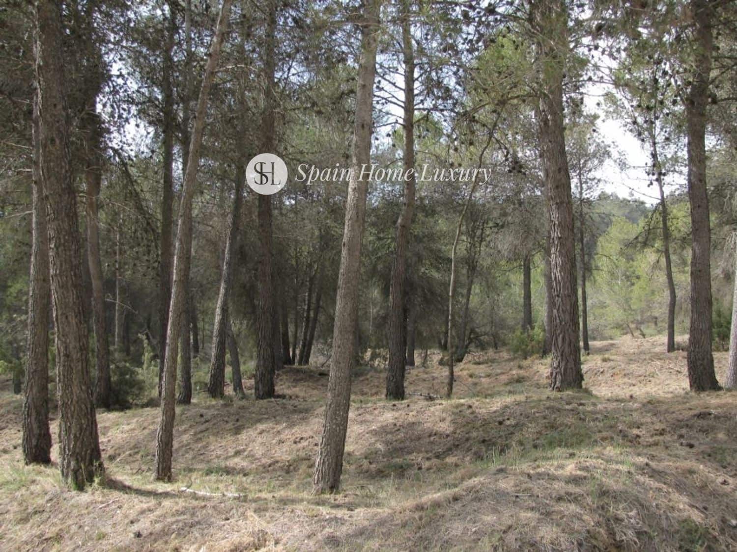 12 chambre Villa/Maison à vendre à Bocairent - 700 000 € (Ref: 9325758)