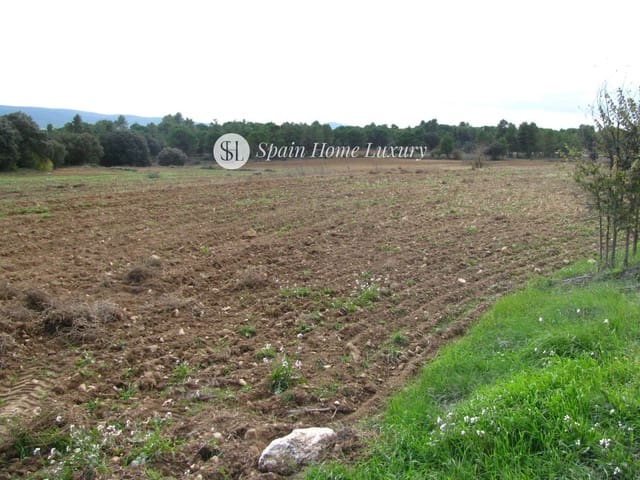 12 chambre Villa/Maison à vendre à Bocairent - 700 000 € (Ref: 9325758)