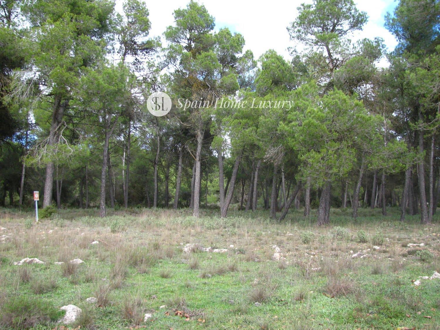 12 chambre Villa/Maison à vendre à Bocairent - 700 000 € (Ref: 9325758)