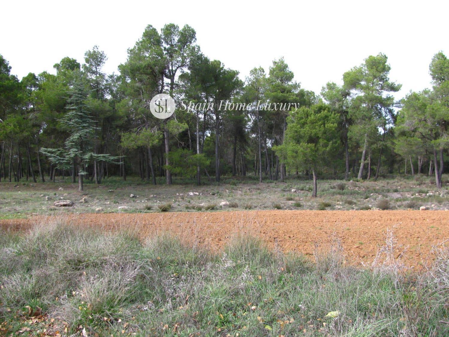 12 chambre Villa/Maison à vendre à Bocairent - 700 000 € (Ref: 9325758)