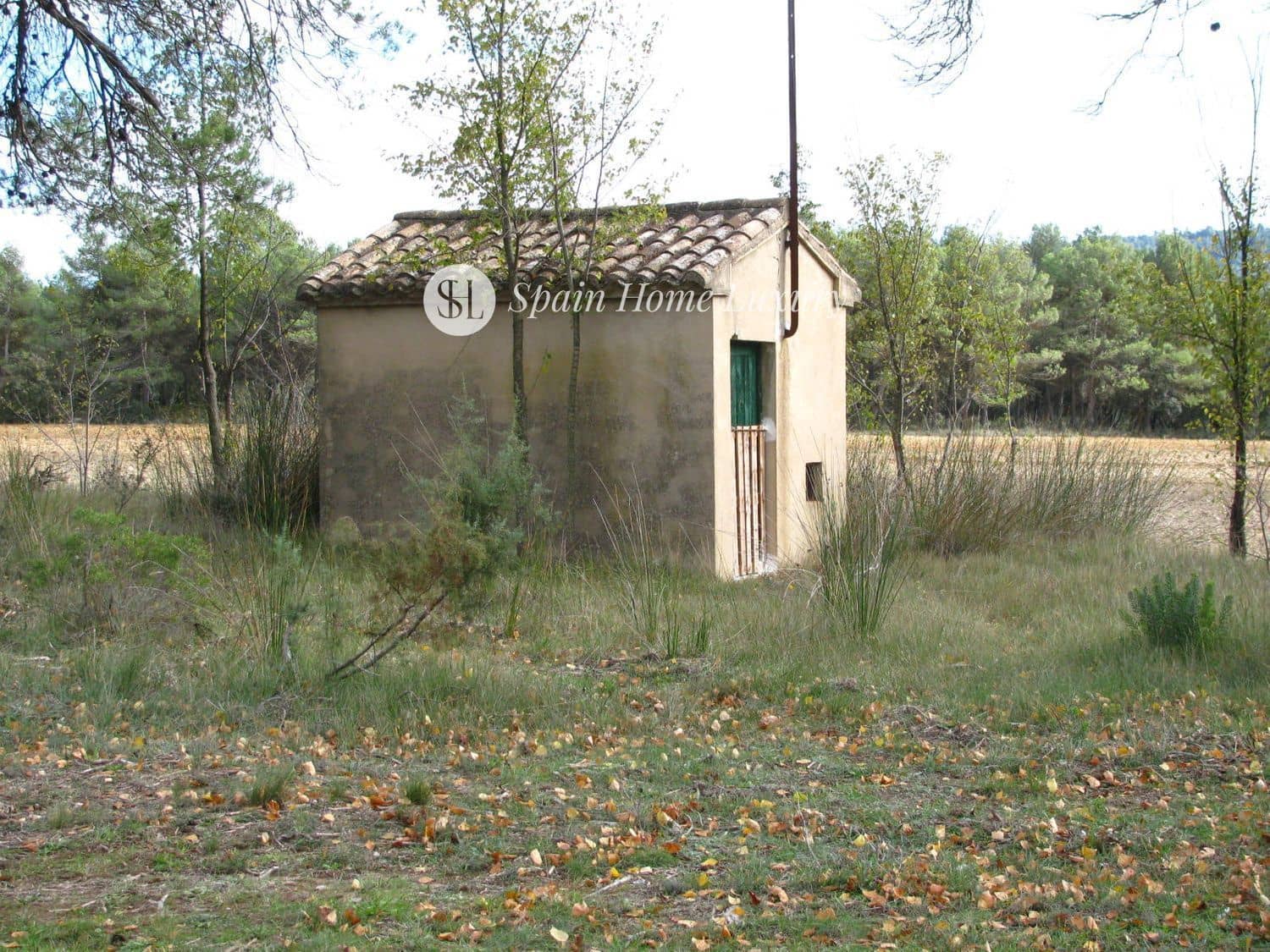 12 chambre Villa/Maison à vendre à Bocairent - 700 000 € (Ref: 9325758)