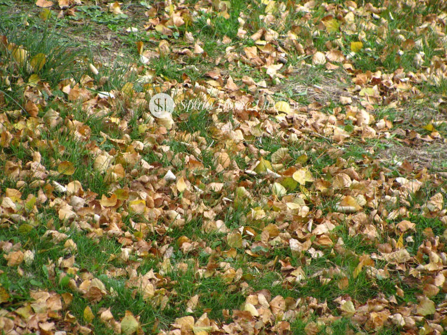 12 chambre Villa/Maison à vendre à Bocairent - 700 000 € (Ref: 9325758)