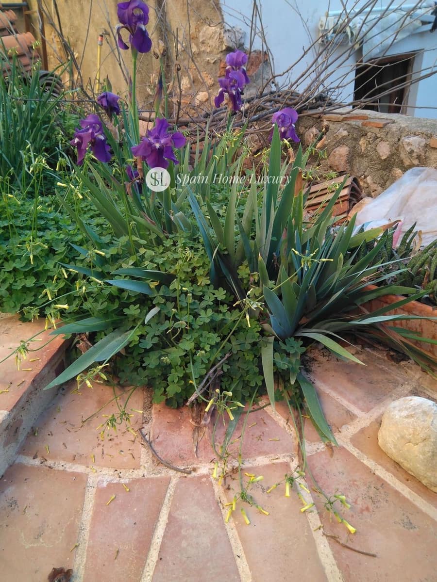 6 soverom Villa til salgs i Palma de Gandia - € 350 000 (Ref: 9408184)