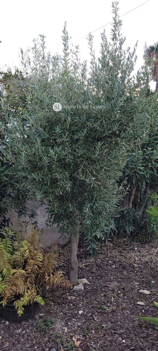 3 quarto Moradia para venda em Benissa com piscina - 477 000 € (Ref: 9465129)