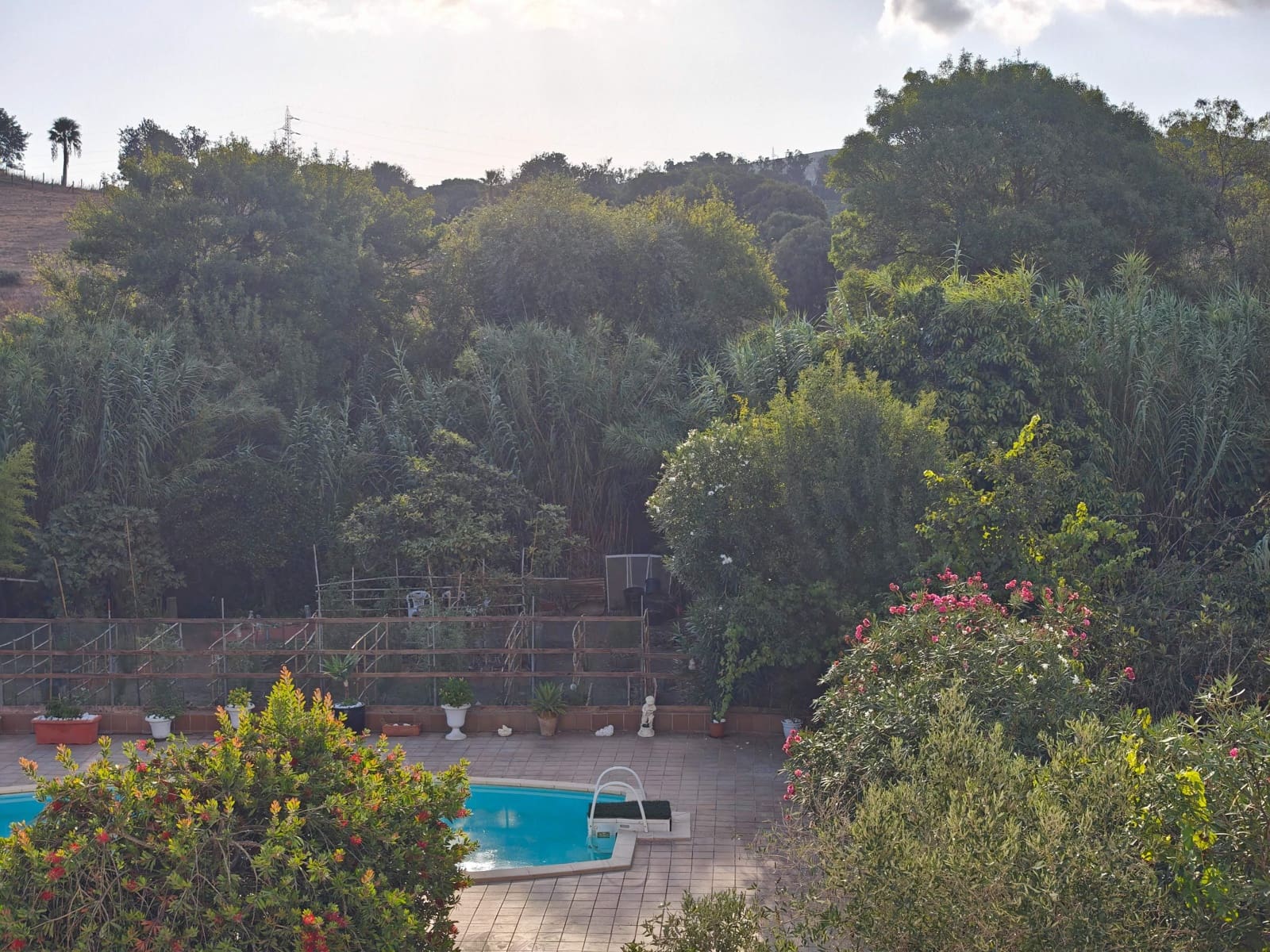 Finca/Casa Rural de 2 habitaciones en San Roque en venta con piscina garaje - 300.000 € (Ref: 10025676)