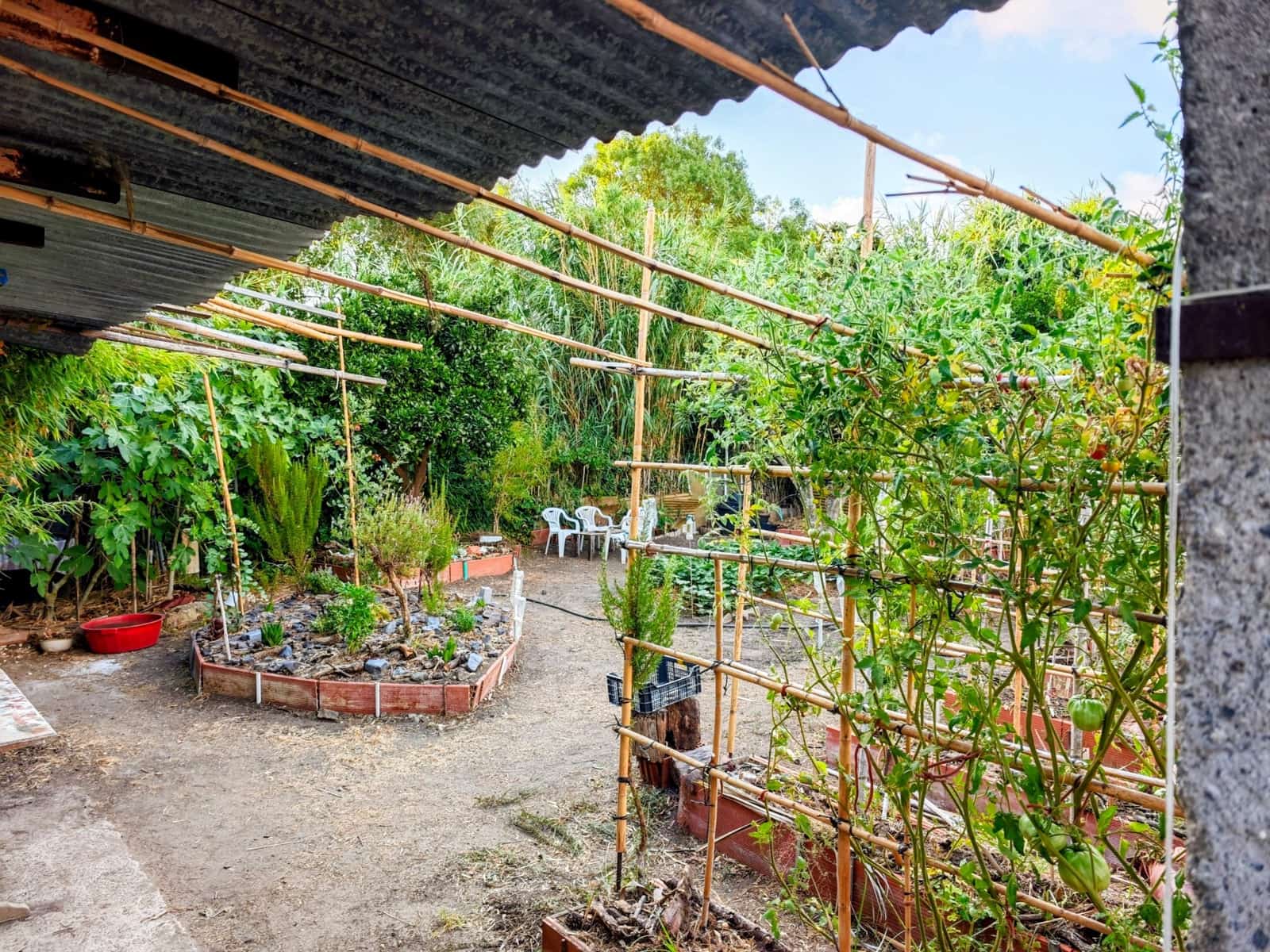 Finca/Casa Rural de 2 habitaciones en San Roque en venta con piscina garaje - 300.000 € (Ref: 10025676)