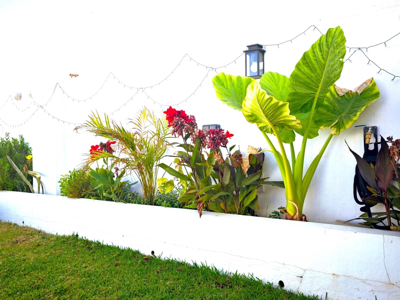 3 bedroom Villa for sale in Jimena de la Frontera with pool - € 269,000 (Ref: 10111783)