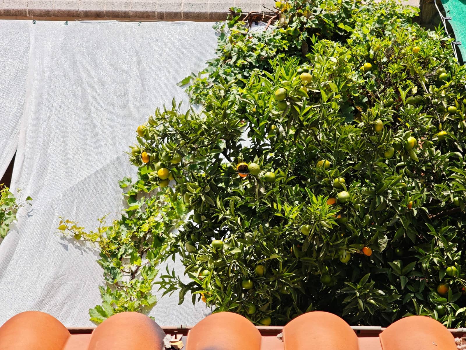 3 bedroom Terraced Villa for sale in Algeciras with garage - € 280,000 (Ref: 10131012)