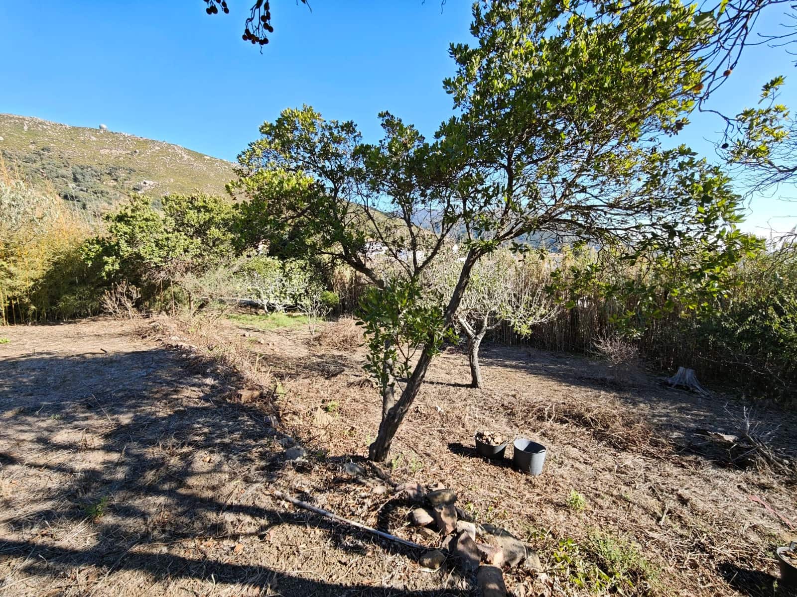 4 soveværelse Villa til salg i Tarifa med garage - € 625.000 (Ref: 10165894)