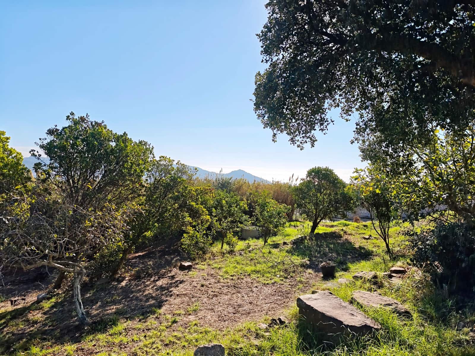 4 soveværelse Villa til salg i Tarifa med garage - € 625.000 (Ref: 10165894)