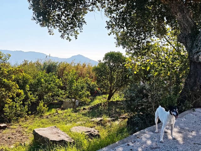 4 soveværelse Villa til salg i Tarifa med garage - € 625.000 (Ref: 10165894)