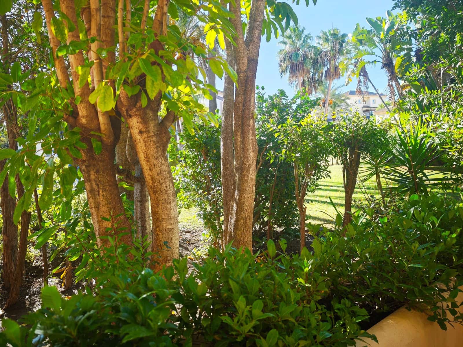 3 soverom Leilighet til salgs i Sotogrande med svømmebasseng garasje - € 565 000 (Ref: 10174318)
