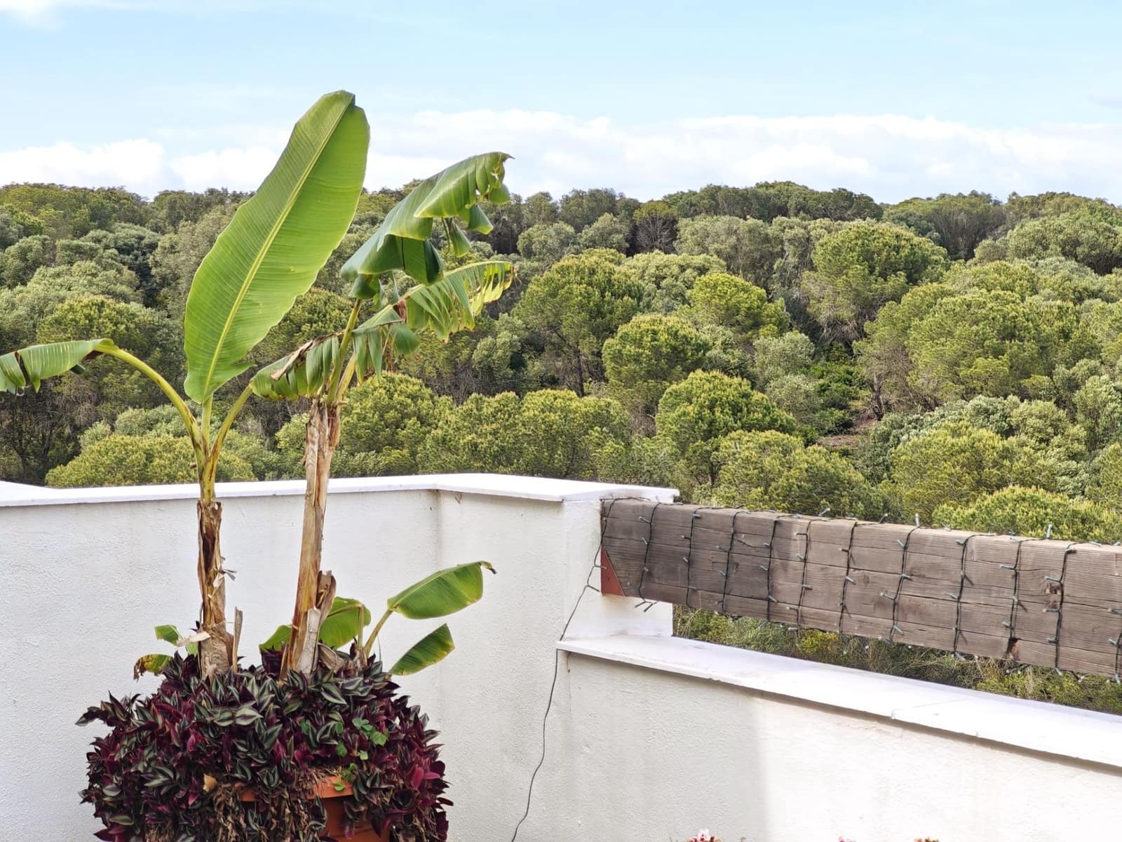 3 sypialnia Penthouse na sprzedaż w La Alcaidesa z basenem - 600 000 € (Ref: 8970393)