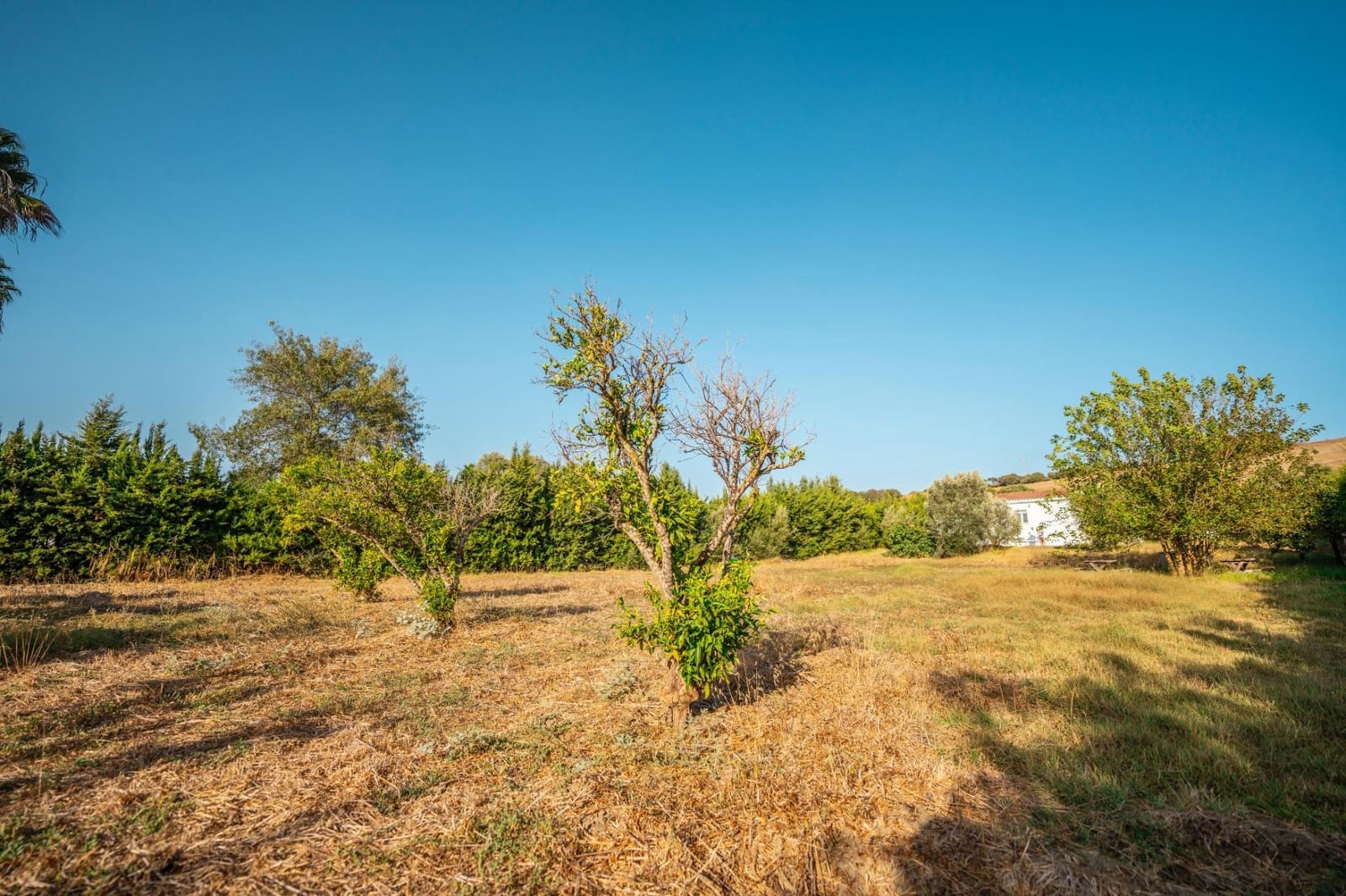 2 chambre Finca/Maison de Campagne à vendre à San Roque - 330 000 € (Ref: 9195553)