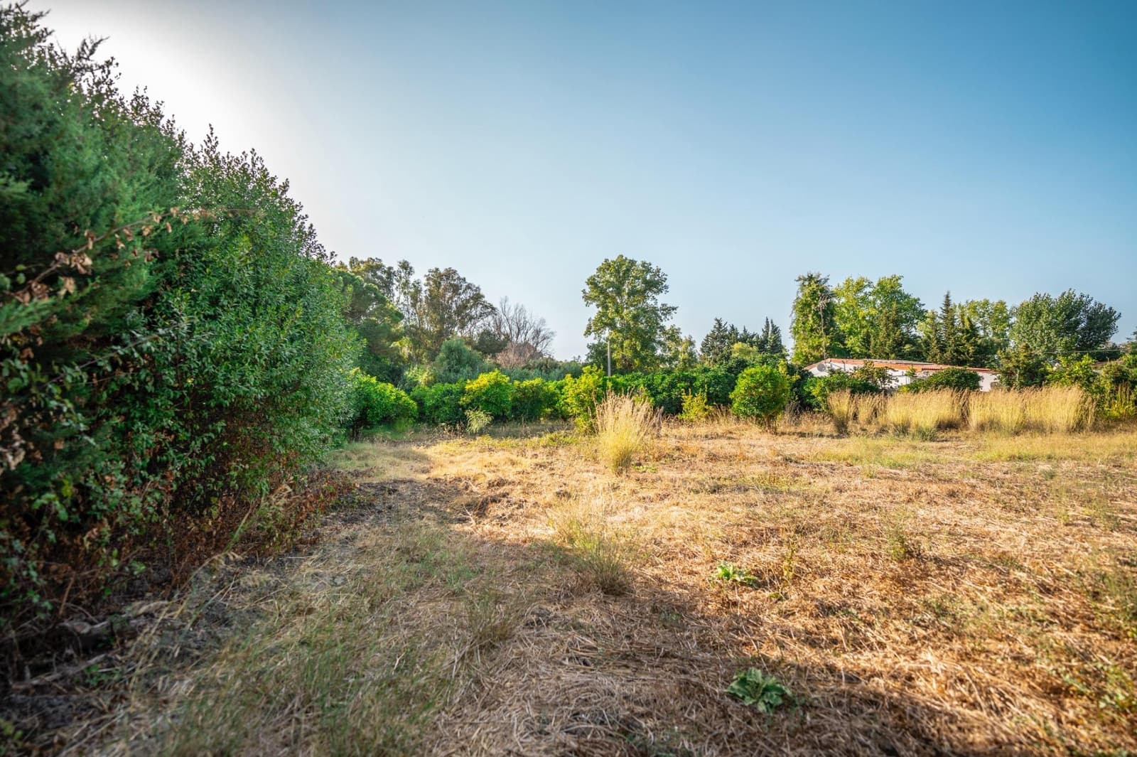 2 chambre Finca/Maison de Campagne à vendre à San Roque - 330 000 € (Ref: 9195553)