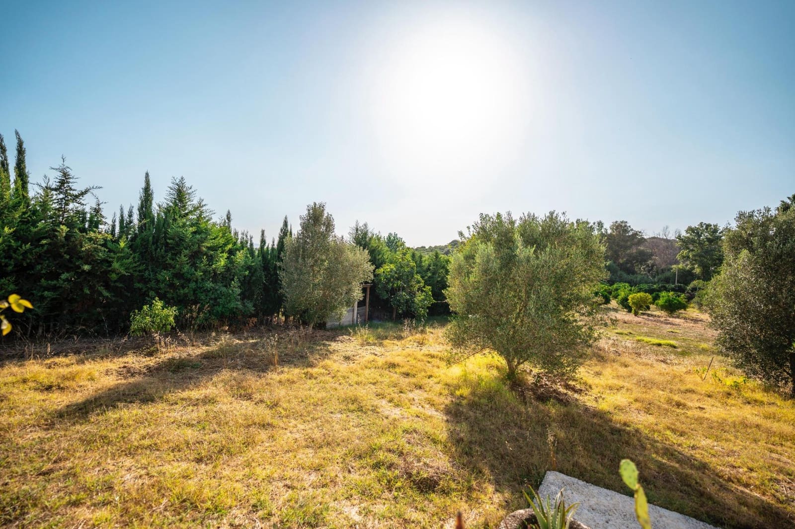 2 chambre Finca/Maison de Campagne à vendre à San Roque - 330 000 € (Ref: 9195553)