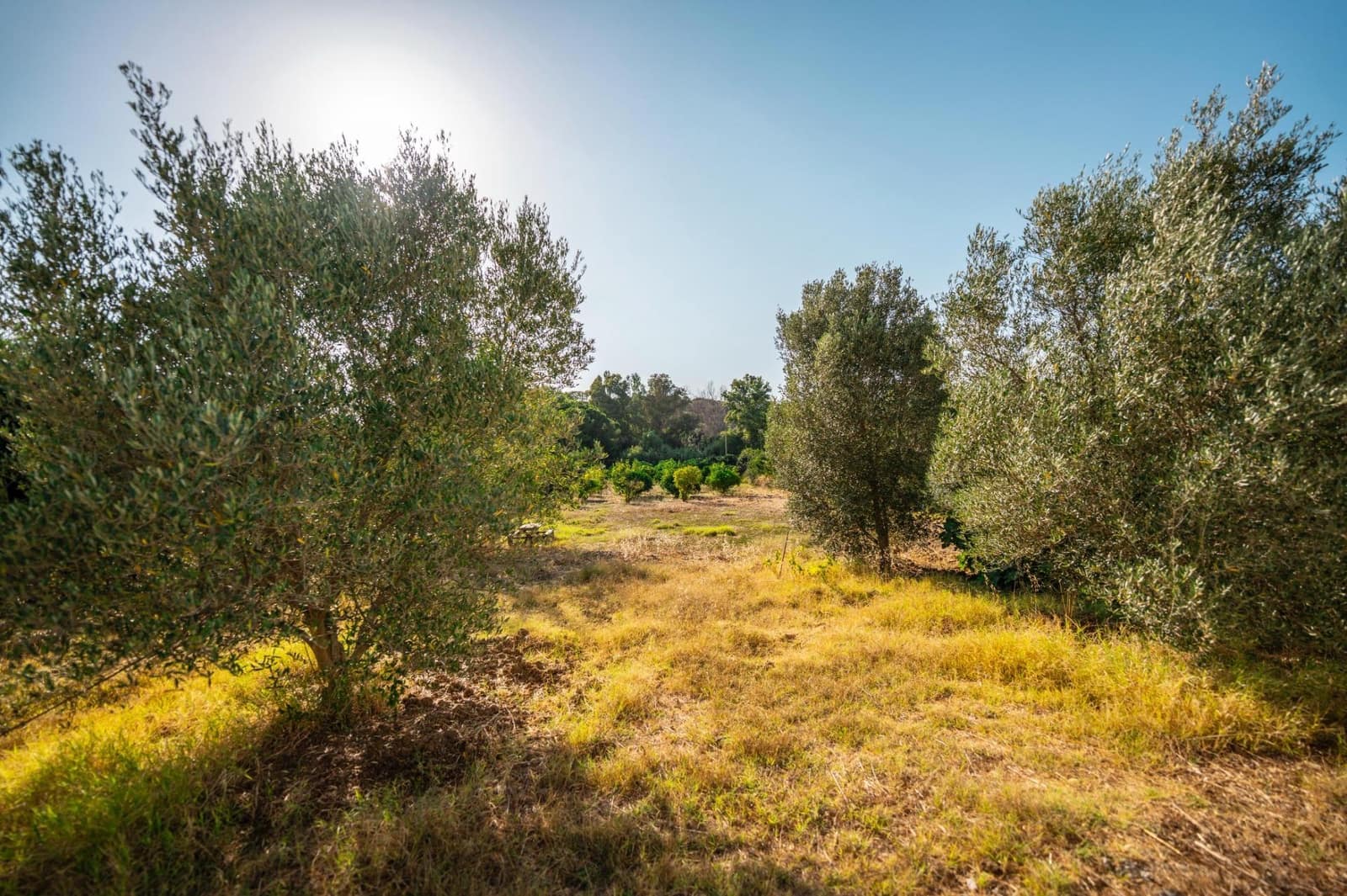 2 chambre Finca/Maison de Campagne à vendre à San Roque - 330 000 € (Ref: 9195553)