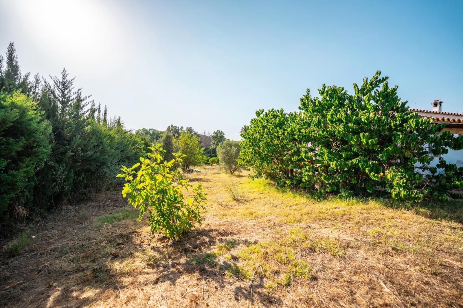 2 chambre Finca/Maison de Campagne à vendre à San Roque - 330 000 € (Ref: 9195553)